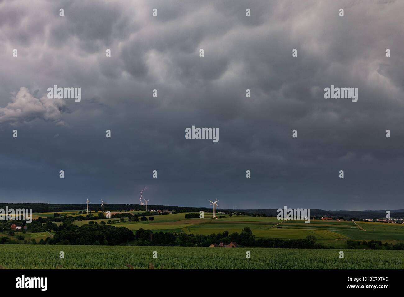 Gewitter Vom 31 05 2025 Bei Ense Blitz Und Mammatuswolken Am Abend Ber Gewitter Vom 31052025 Bei Ense Blitz Und Mammatuswolken Am Abend Ber Dem Sauerland Thunderstorm On 31 05 2025 Near Ense Lightning And Mammatus Clouds Over The Sauerland In The Evening Copyright Xx Xchantalxandersx 3C70TAD