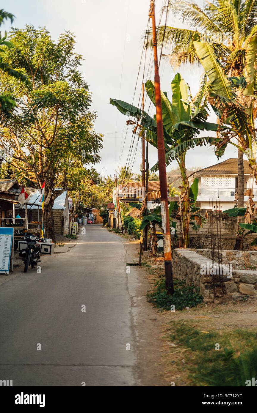 Sunny Village Road with Palm Trees and Shops, Kuta Lombok Stock Photo