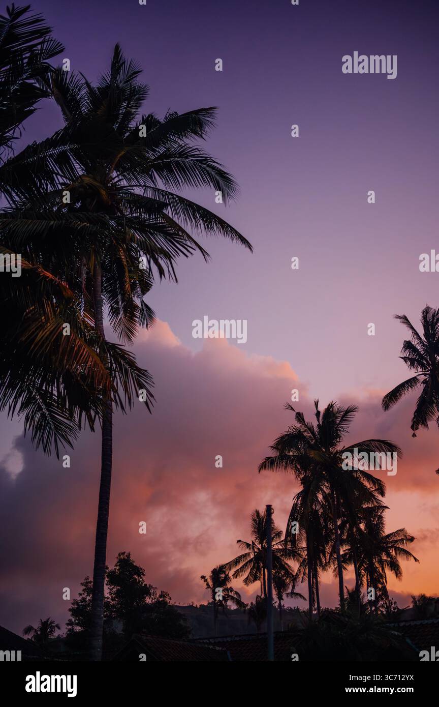 Tropical Palm Trees Framed by Colorful Sunset Sky, Kuta Lombok Stock Photo