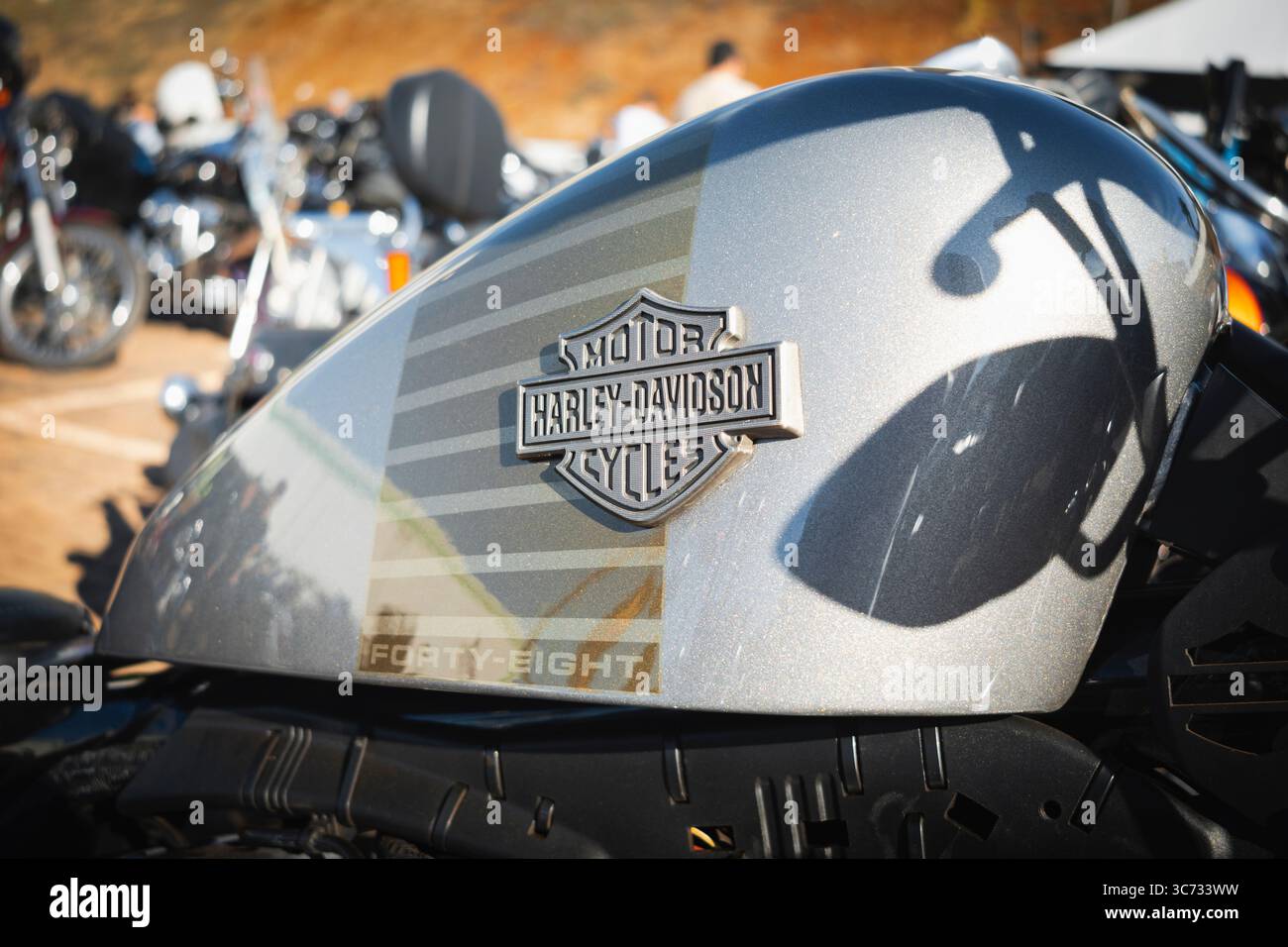 Harley-Davidson Forty-Eight motorcycle metal tank finished in 