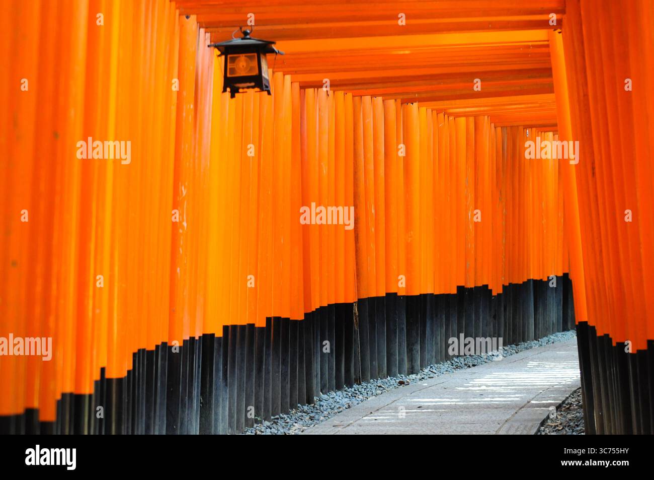 Iconic orange torii gates at Fushimi Inari Shrine create a path in ...