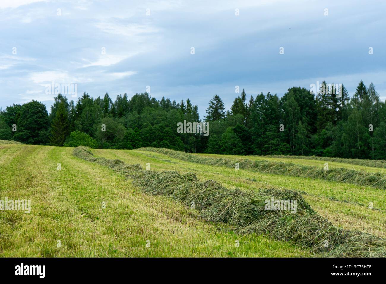 Rural scene showing haymaking hi-res stock photography and images - Alamy