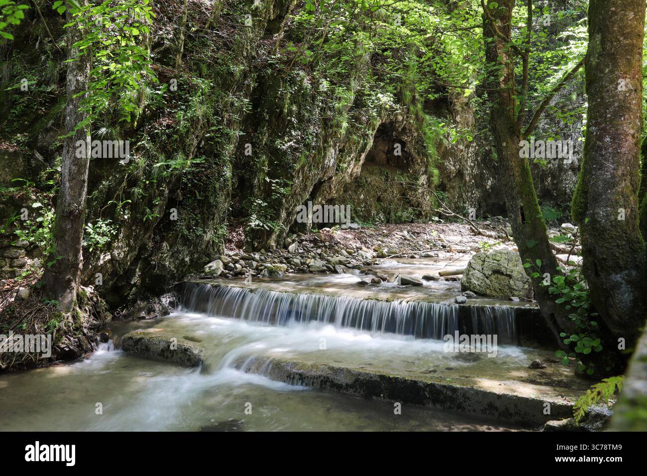 Small waterfall flowing through a green forest with rocks and trees. Stock Photo