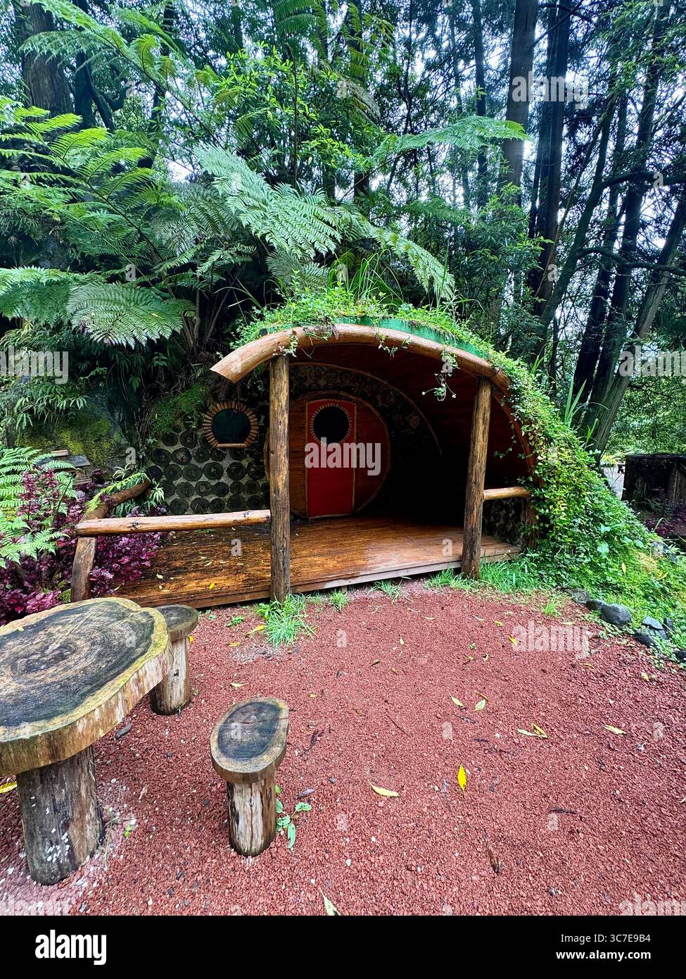 “House of the Gnomes” along a forest hiking trail in Grená Park, São Miguel Island, Azores, Portugal. - Smartphone Captured Stock Image