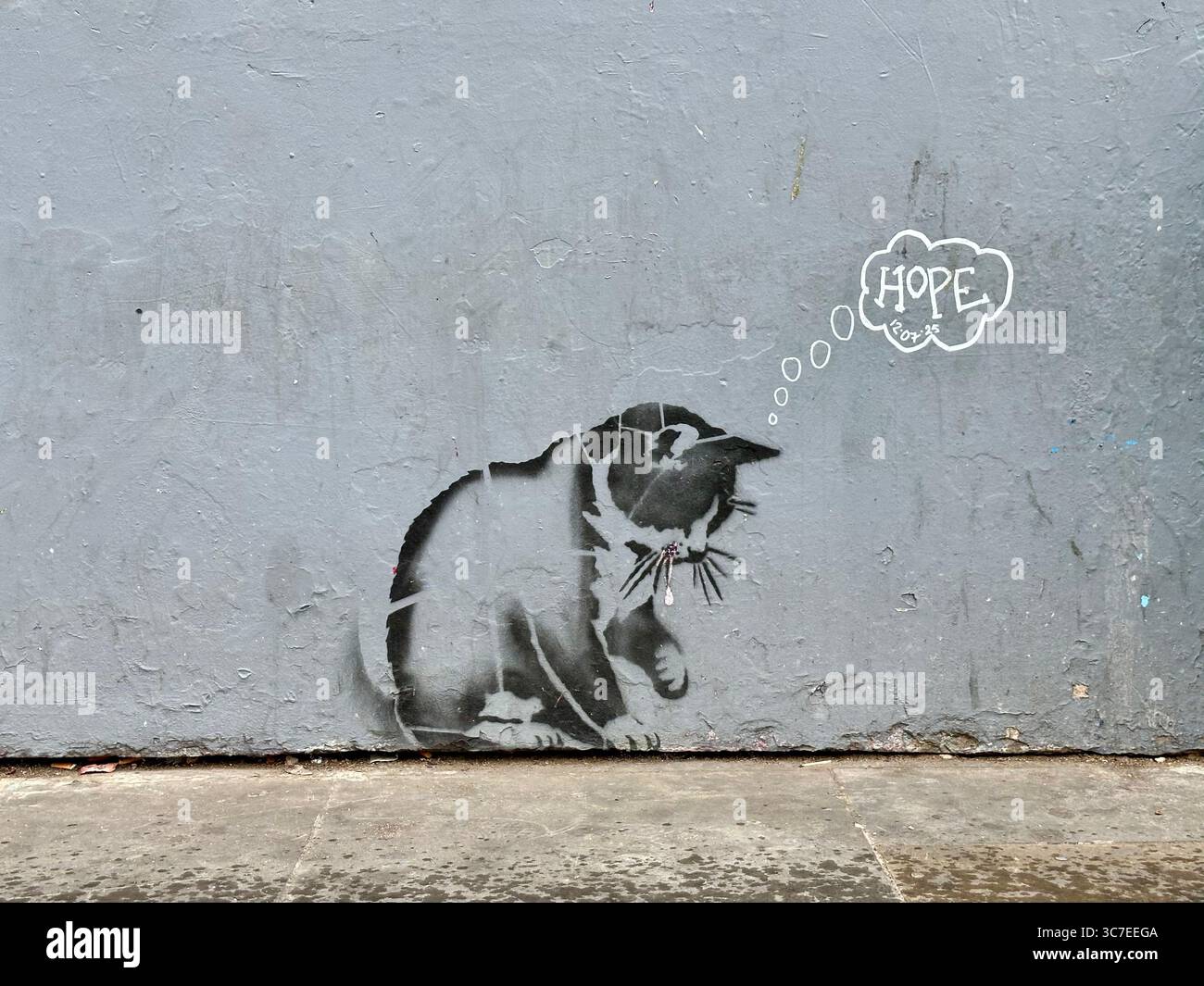 A graffiti of a cat thinking hope in Notting Hill, London, England - Smartphone Captured Stock Image