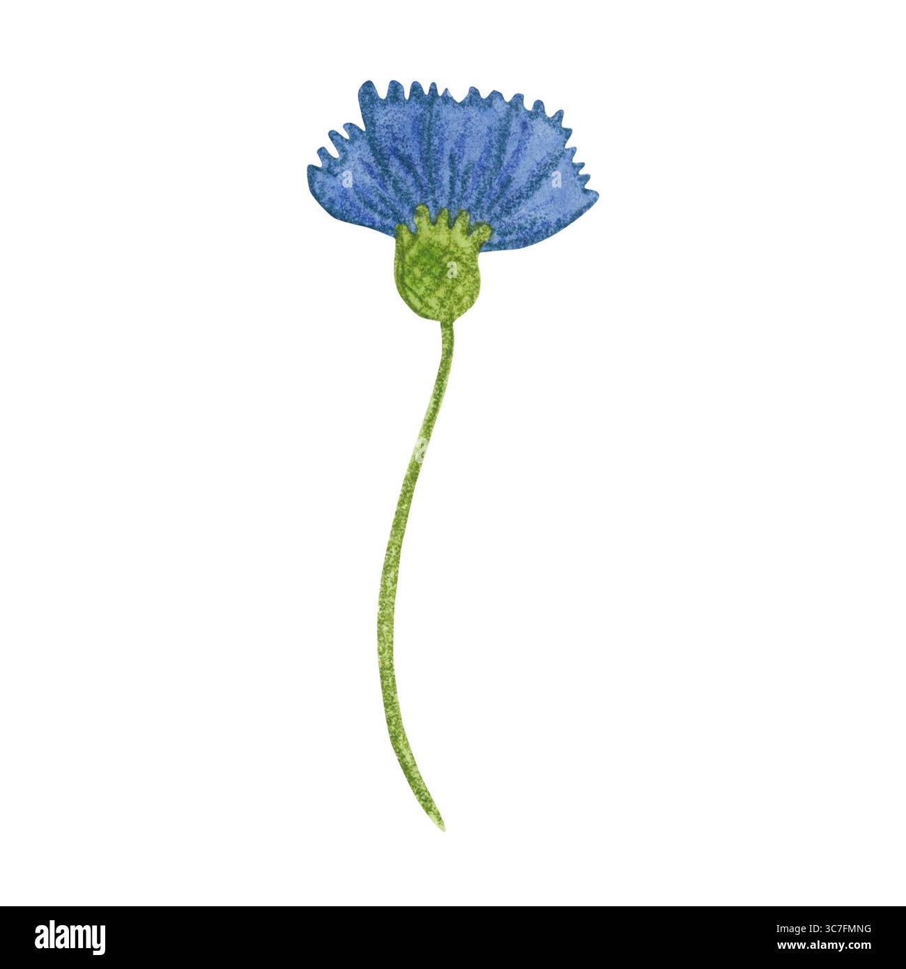blue flower cartoon drawing