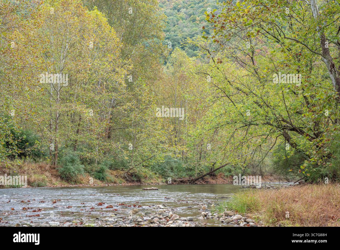 Dolly sods national wilderness hi-res stock photography and images - Alamy