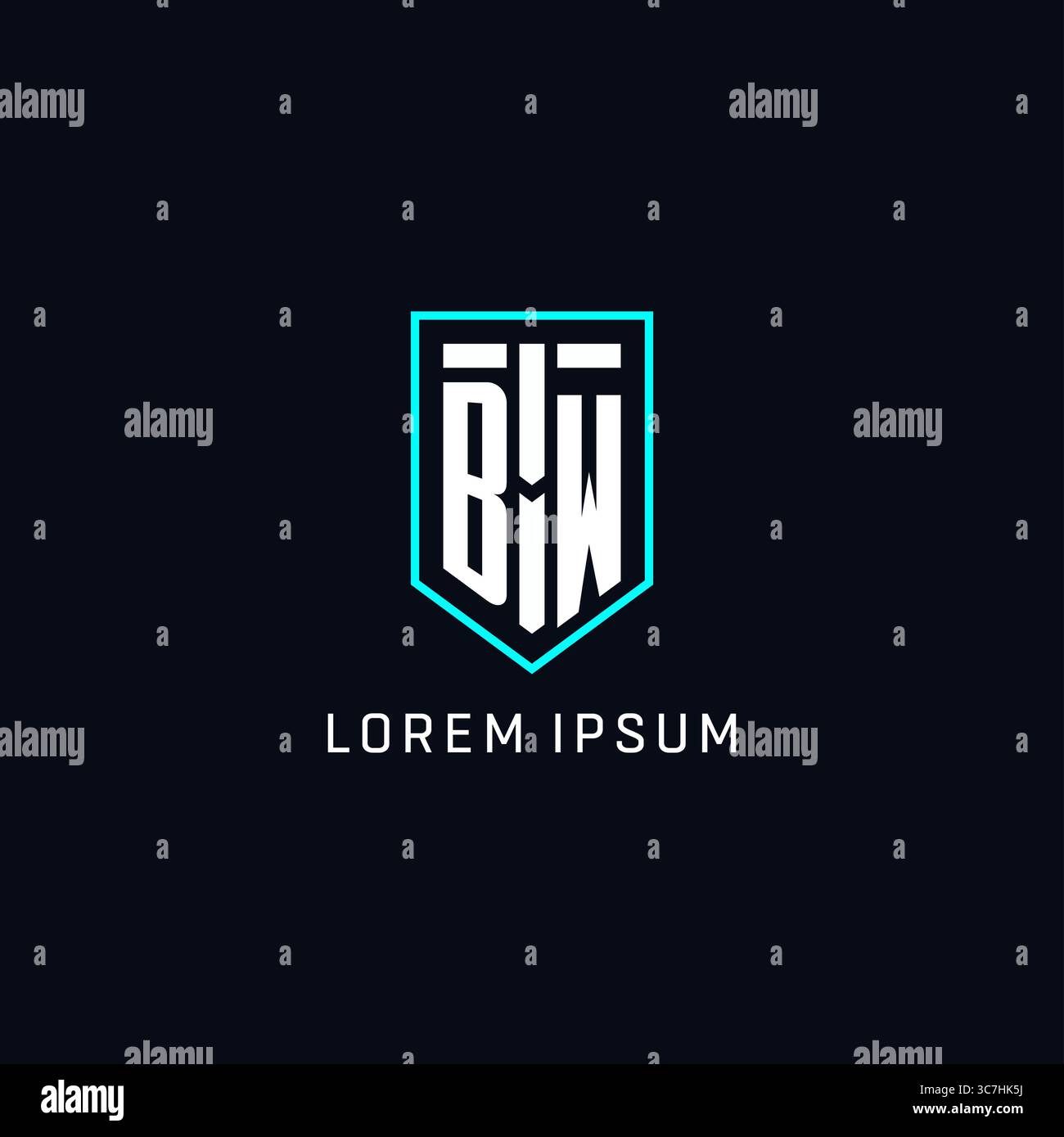 Monogram BW logo shield shape geometric style with simple creative initial logo design vector graphic Stock Vector