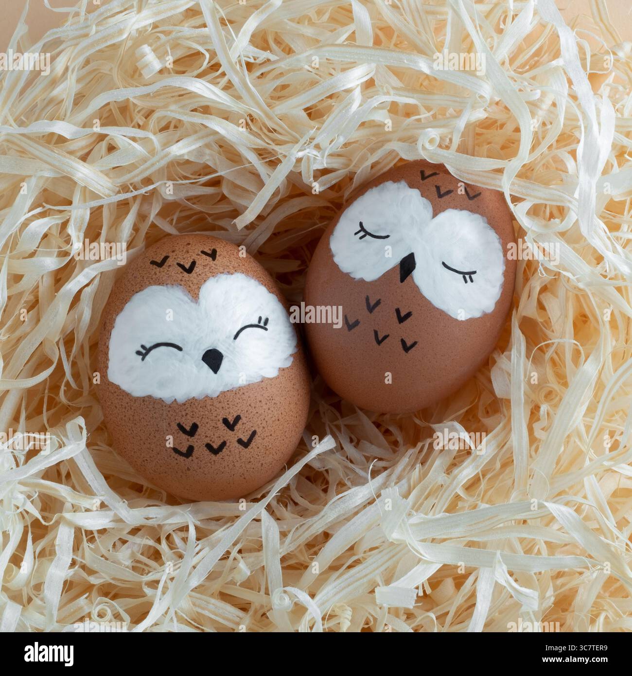 Owls sleeping in the nest. Brown Easter eggs in straw. Preparing for Easter. Stock Photo
