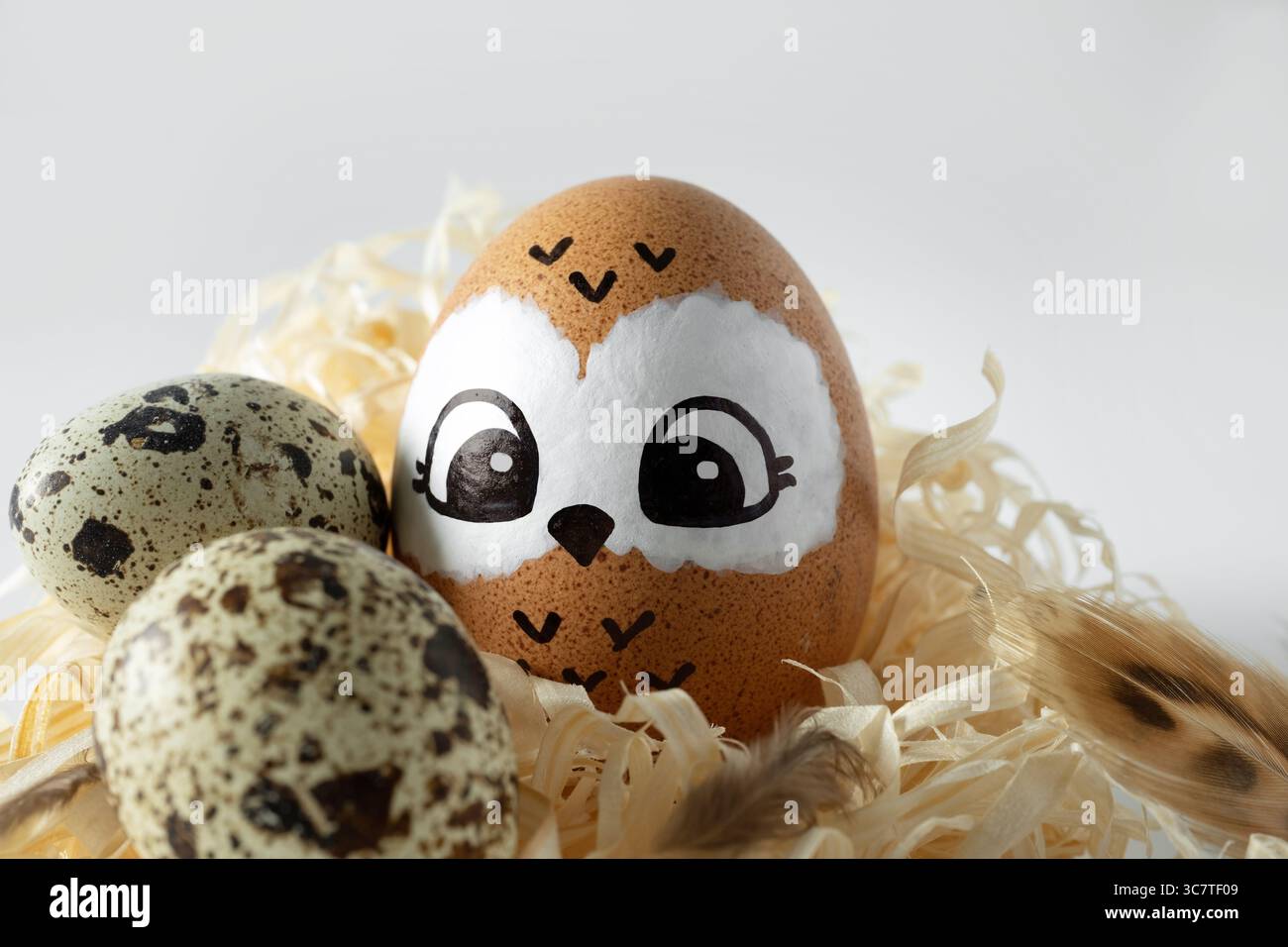 Funny owl made of egg. Brown Easter egg in a straw nest and quail eggs. Stock Photo