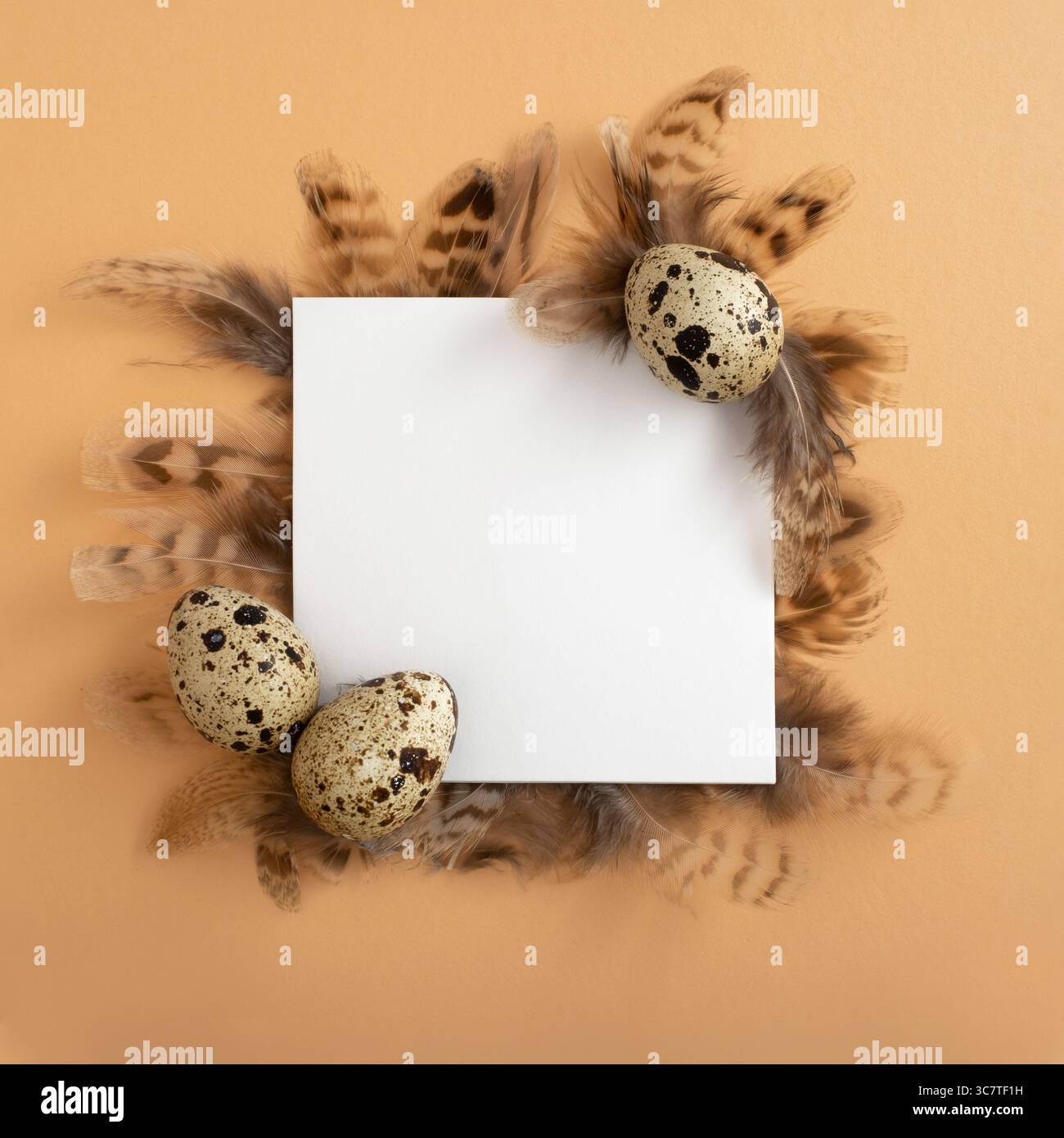 Easter frame. Easter quail eggs, square white paper on beige background. Flat layout, top view, copy space. Happy Easter card. Stock Photo
