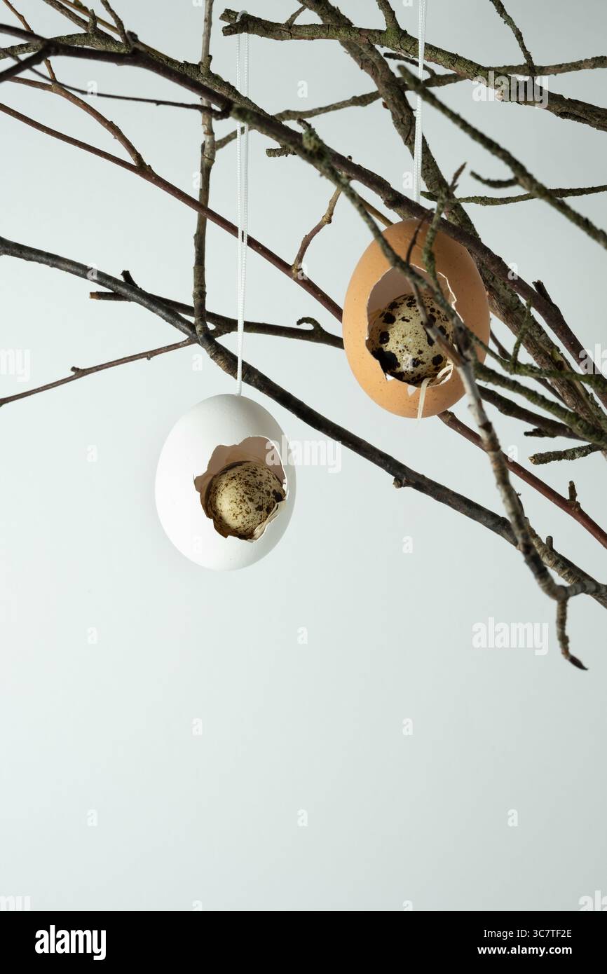 Easter decoration of eggshells and quail eggs on branches. Light background, space for text Stock Photo