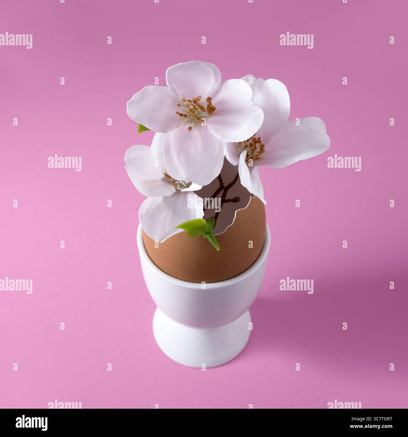 Small vase made of brown eggshell in white egg cup with apple blossoms. Easter concept. Square, pink background. Stock Photo