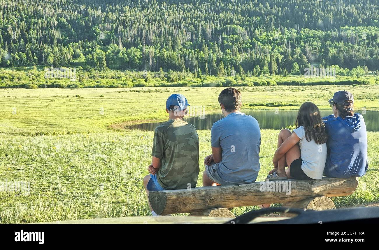 Four children in a row sitting on a wooden bench, overlooking green nature (grass field and trees / forest), seen from the back - Smartphone Captured Stock Image
