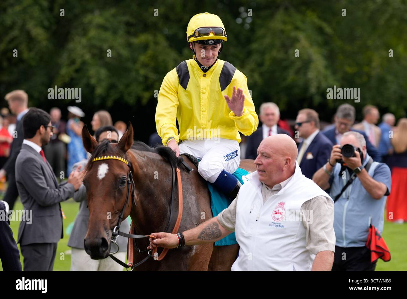 Stewards' Interventions and Jockey Reprimands