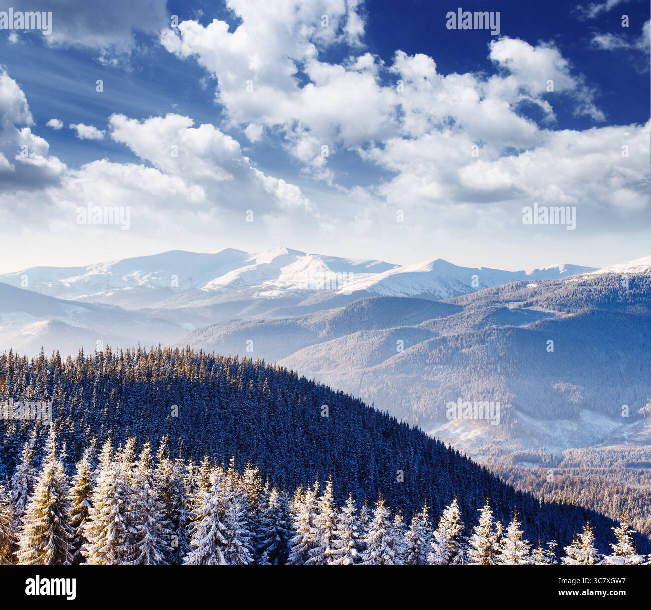 Beautiful winter landscape tree hi-res stock photography and images - Alamy