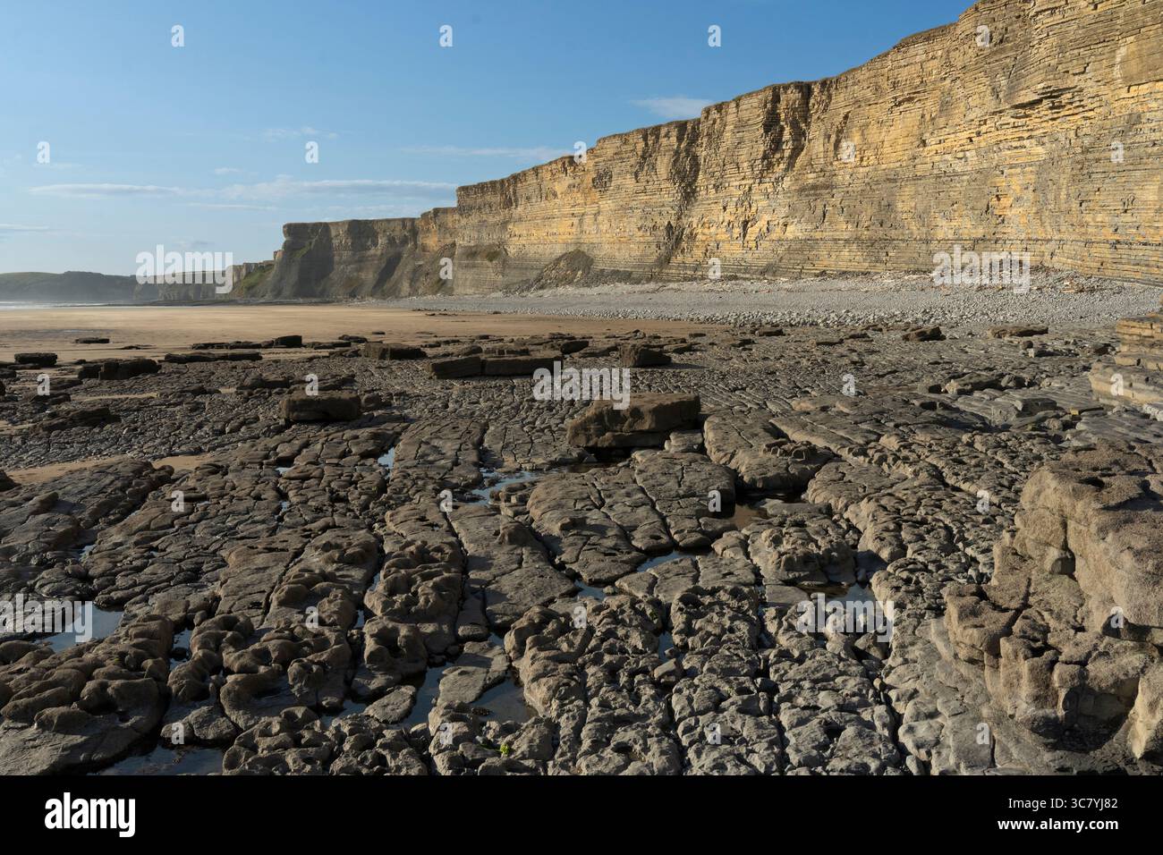 Low tide reveals the rocky foreshore at Monknash beach, also known as Cwm Nash, Wales. The dramatic cliffs are popular with fossil hunters and photogr Stock Photo