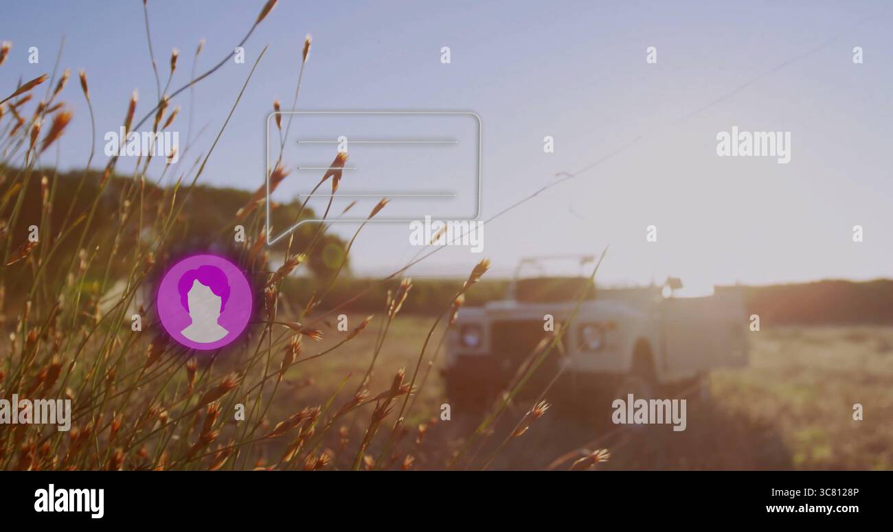 Backlighting grass seed heads in golden sun at grassy field, white vehicle, UI elements, copy space Stock Photo