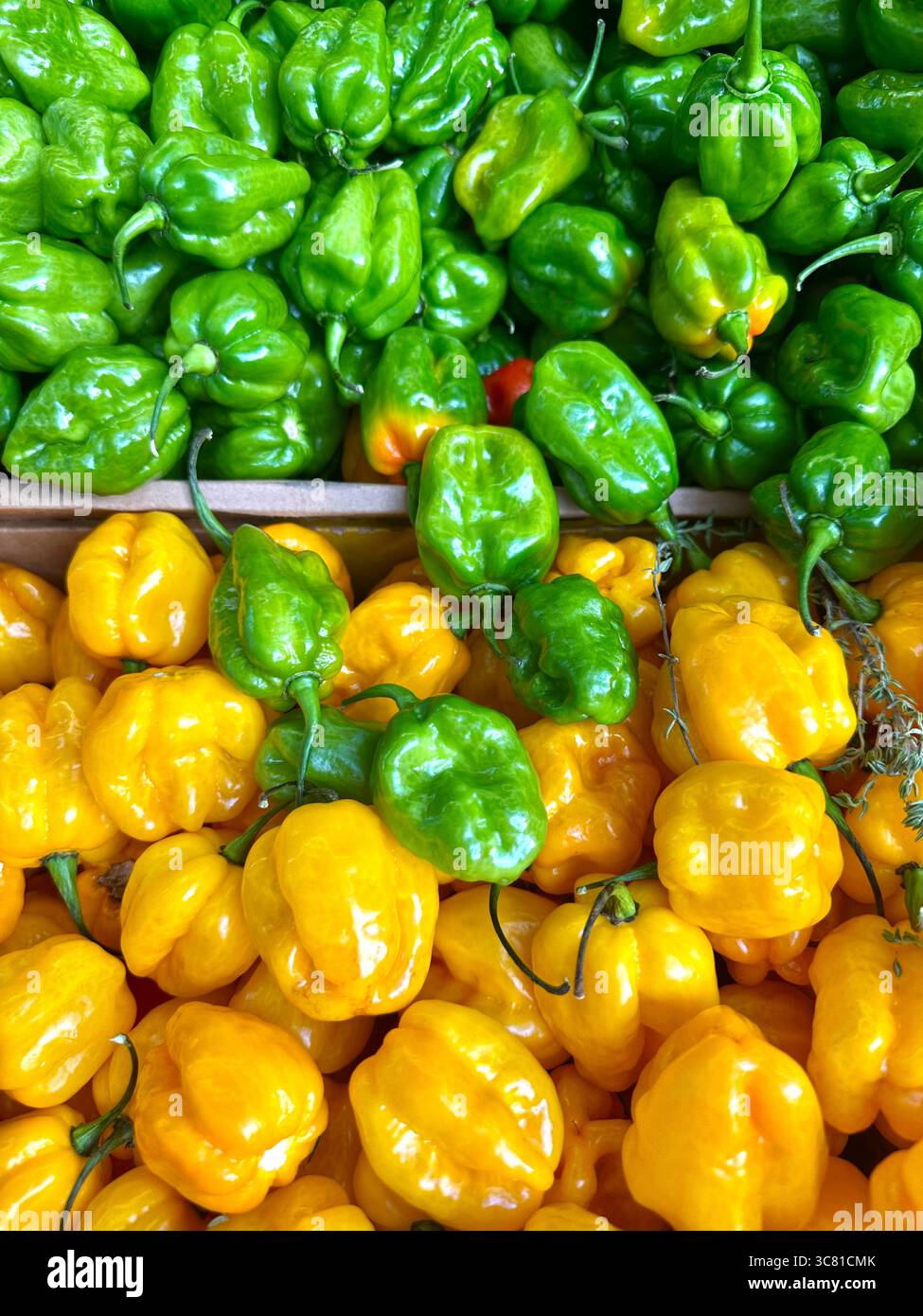 Green and yellow habanero chili peppers on display - Smartphone Captured Stock Image