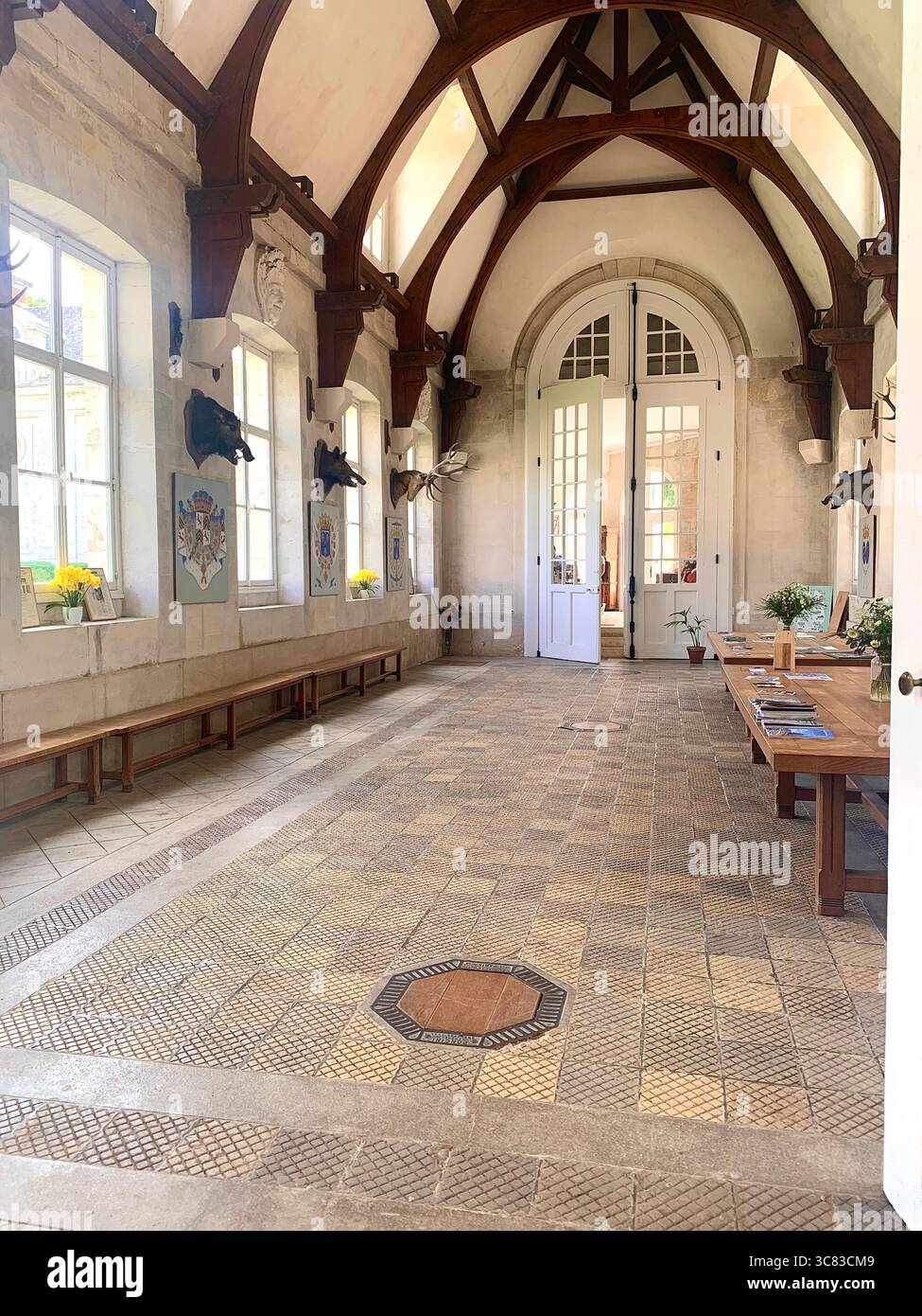 Chateau Bizi France French monument historic place gardens museum old ancient fountain water lake piano harp playing play people performance - Smartphone Captured Stock Image