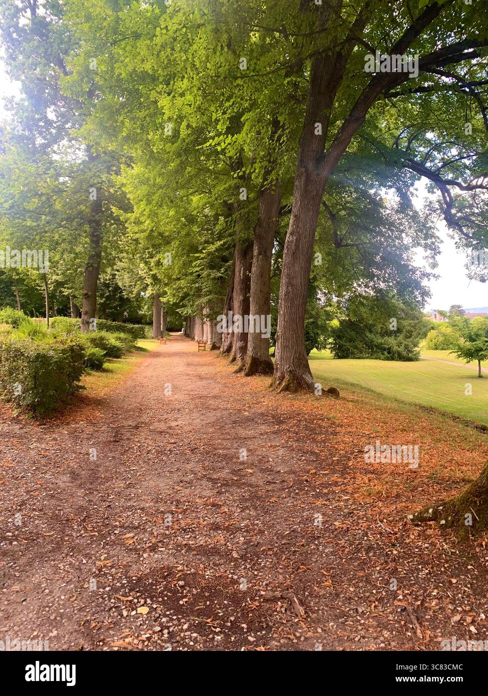 Chateau Bizi France French monument historic place gardens museum old ancient fountain water lake piano harp playing play people performance - Smartphone Captured Stock Image