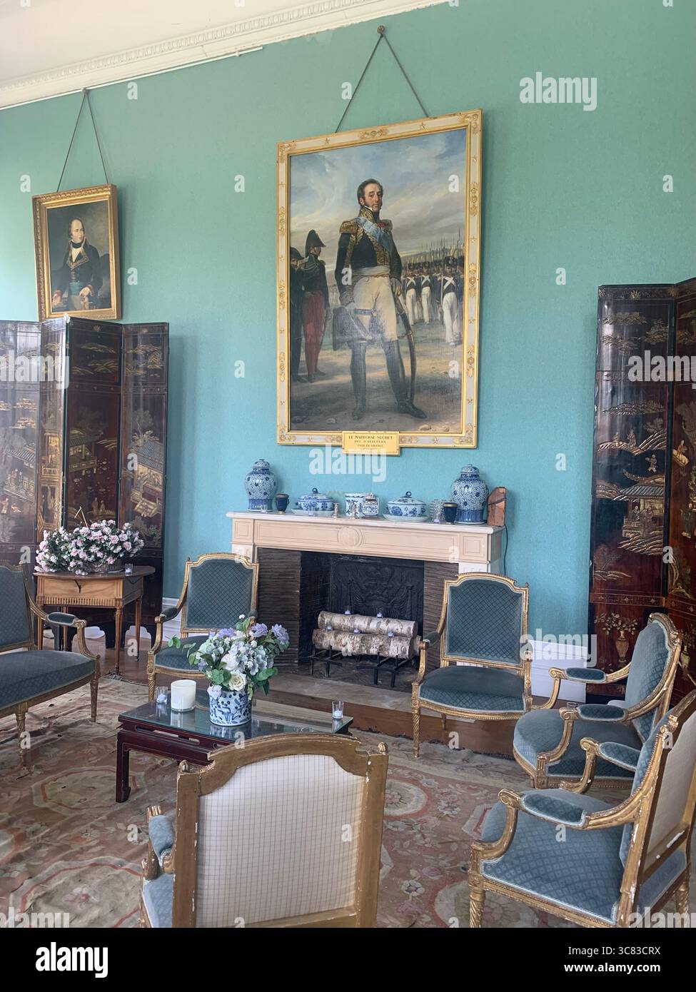 Chateau Bizi France French monument historic place gardens museum old ancient fountain water lake piano harp playing play people performance - Smartphone Captured Stock Image