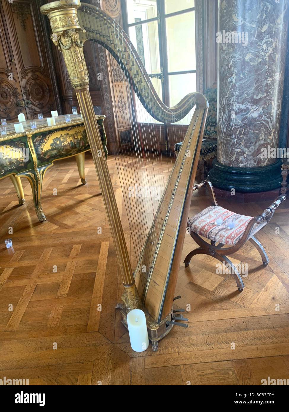 Chateau Bizi France French monument historic place gardens museum old ancient fountain water lake piano harp playing play people performance - Smartphone Captured Stock Image