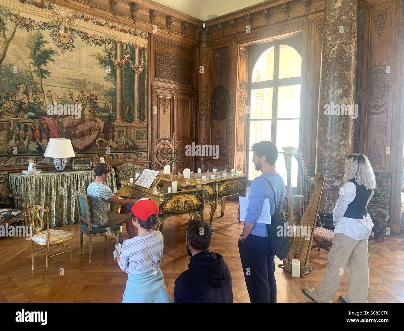 Chateau Bizi France French monument historic place gardens museum old ancient fountain water lake piano harp playing play people performance - Smartphone Captured Stock Image