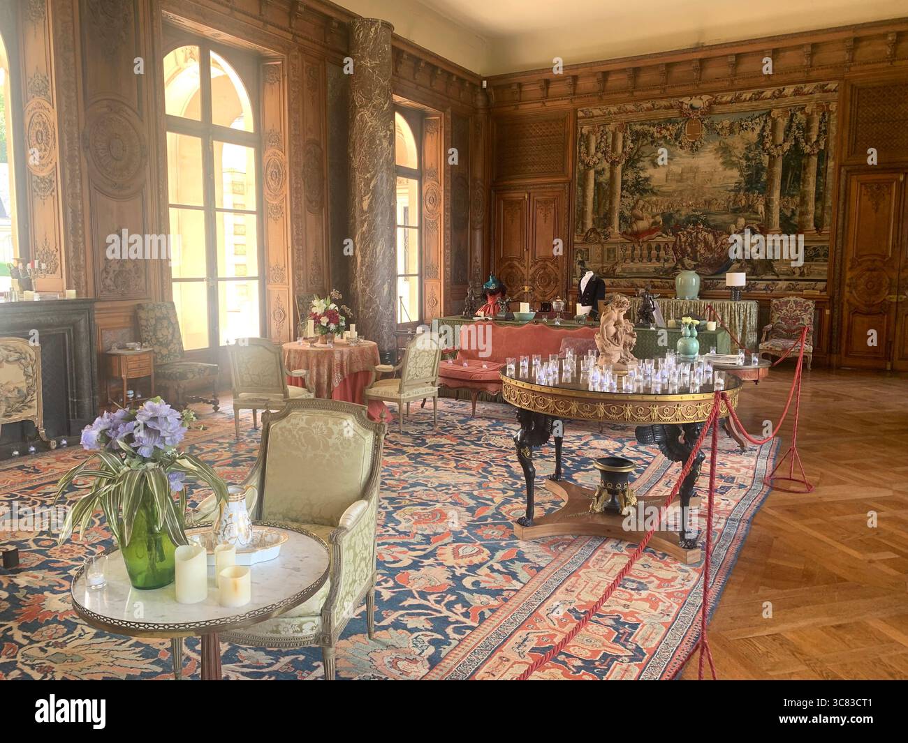 Chateau Bizi France French monument historic place gardens museum old ancient fountain water lake piano harp playing play people performance - Smartphone Captured Stock Image