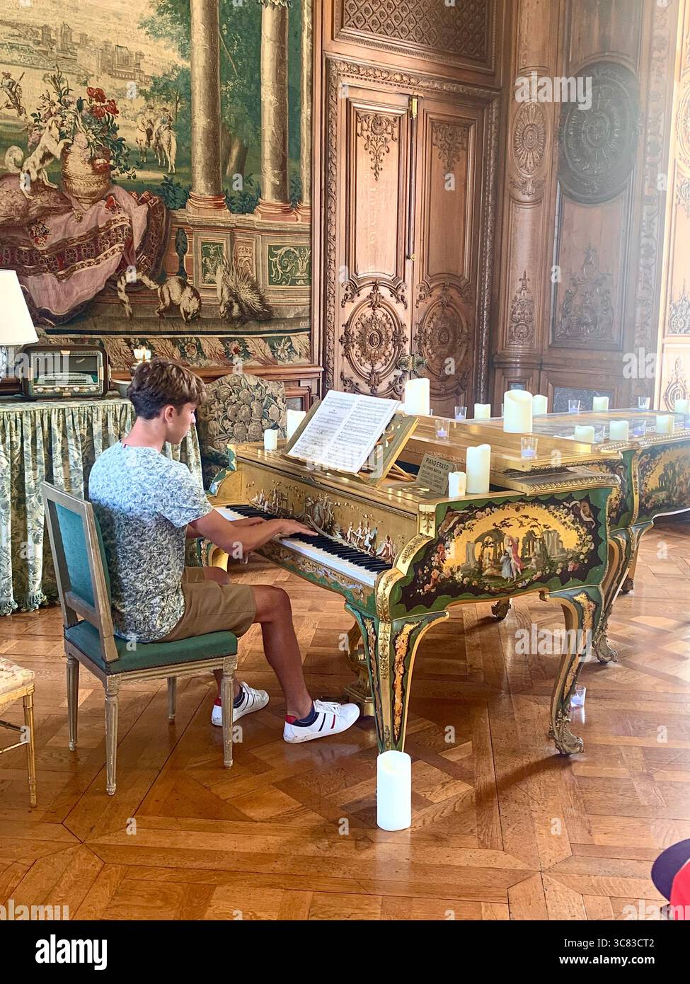 Chateau Bizi France French monument historic place gardens museum old ancient fountain water lake piano harp playing play people performance - Smartphone Captured Stock Image