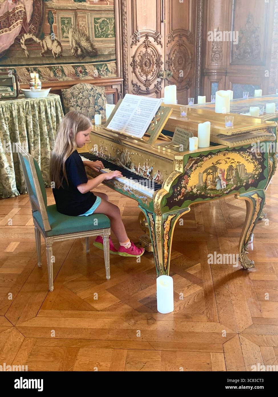 Chateau Bizi France French monument historic place gardens museum old ancient fountain water lake piano harp playing play people performance - Smartphone Captured Stock Image