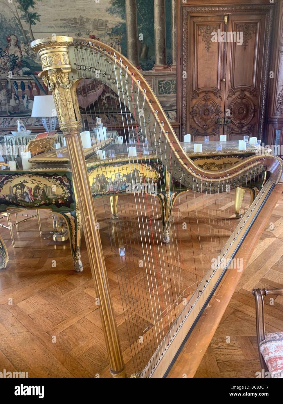 Chateau Bizi France French monument historic place gardens museum old ancient fountain water lake piano harp playing play people performance - Smartphone Captured Stock Image