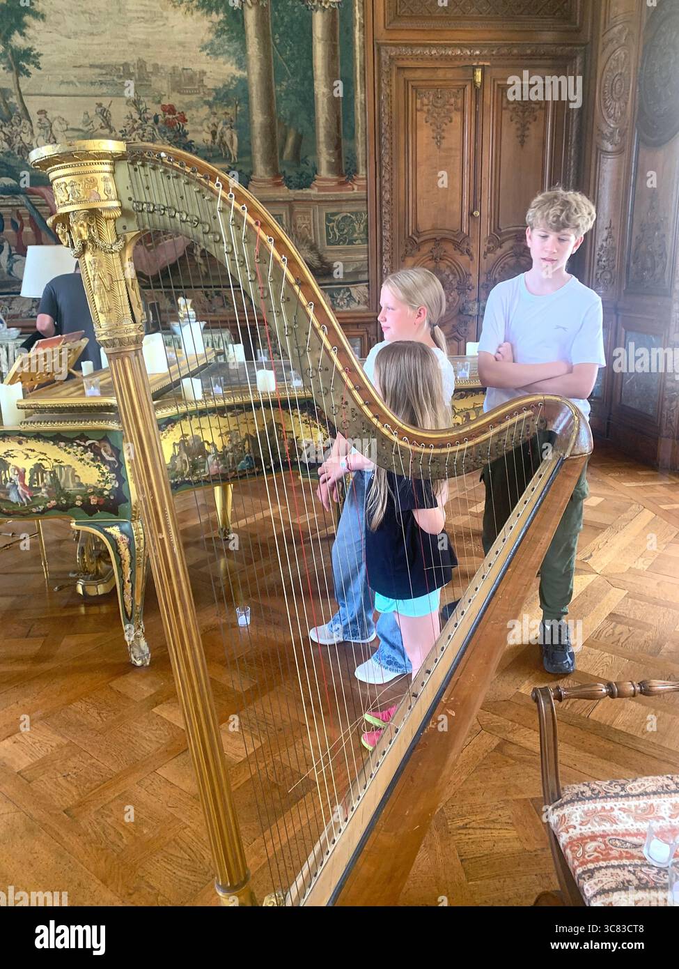Chateau Bizi France French monument historic place gardens museum old ancient fountain water lake piano harp playing play people performance - Smartphone Captured Stock Image
