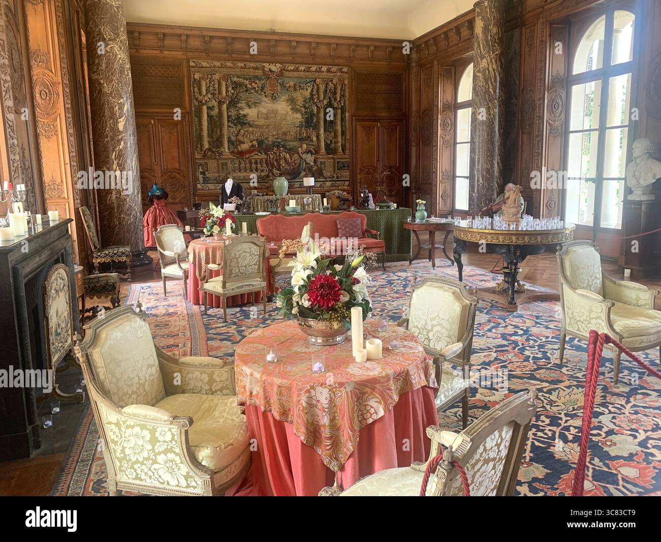 Chateau Bizi France French monument historic place gardens museum old ancient fountain water lake piano harp playing play people performance - Smartphone Captured Stock Image
