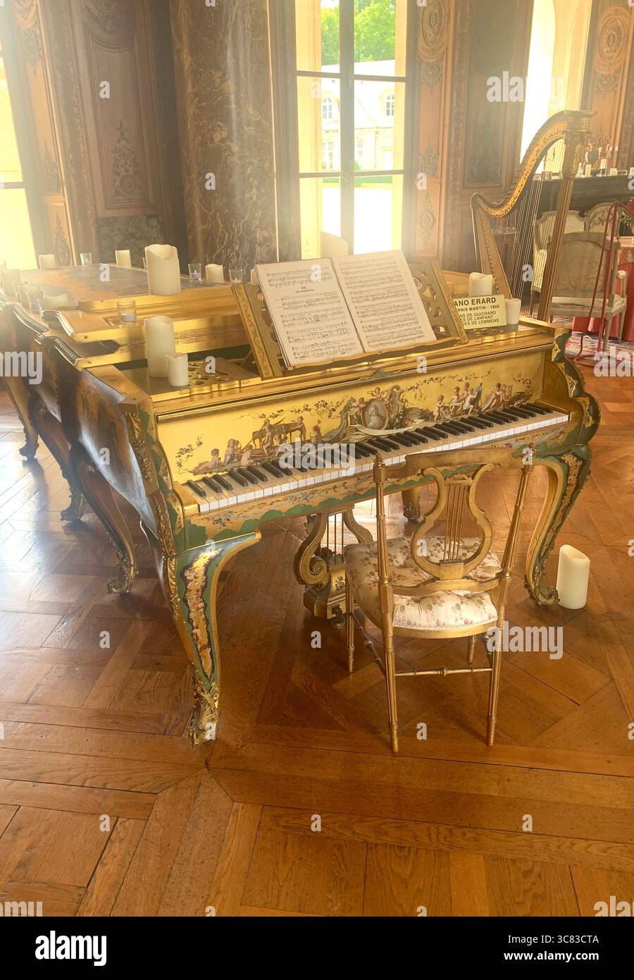 Chateau Bizi France French monument historic place gardens museum old ancient fountain water lake piano harp playing play people performance - Smartphone Captured Stock Image