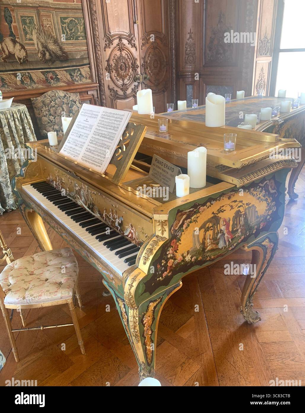 Chateau Bizi France French monument historic place gardens museum old ancient fountain water lake piano harp playing play people performance - Smartphone Captured Stock Image