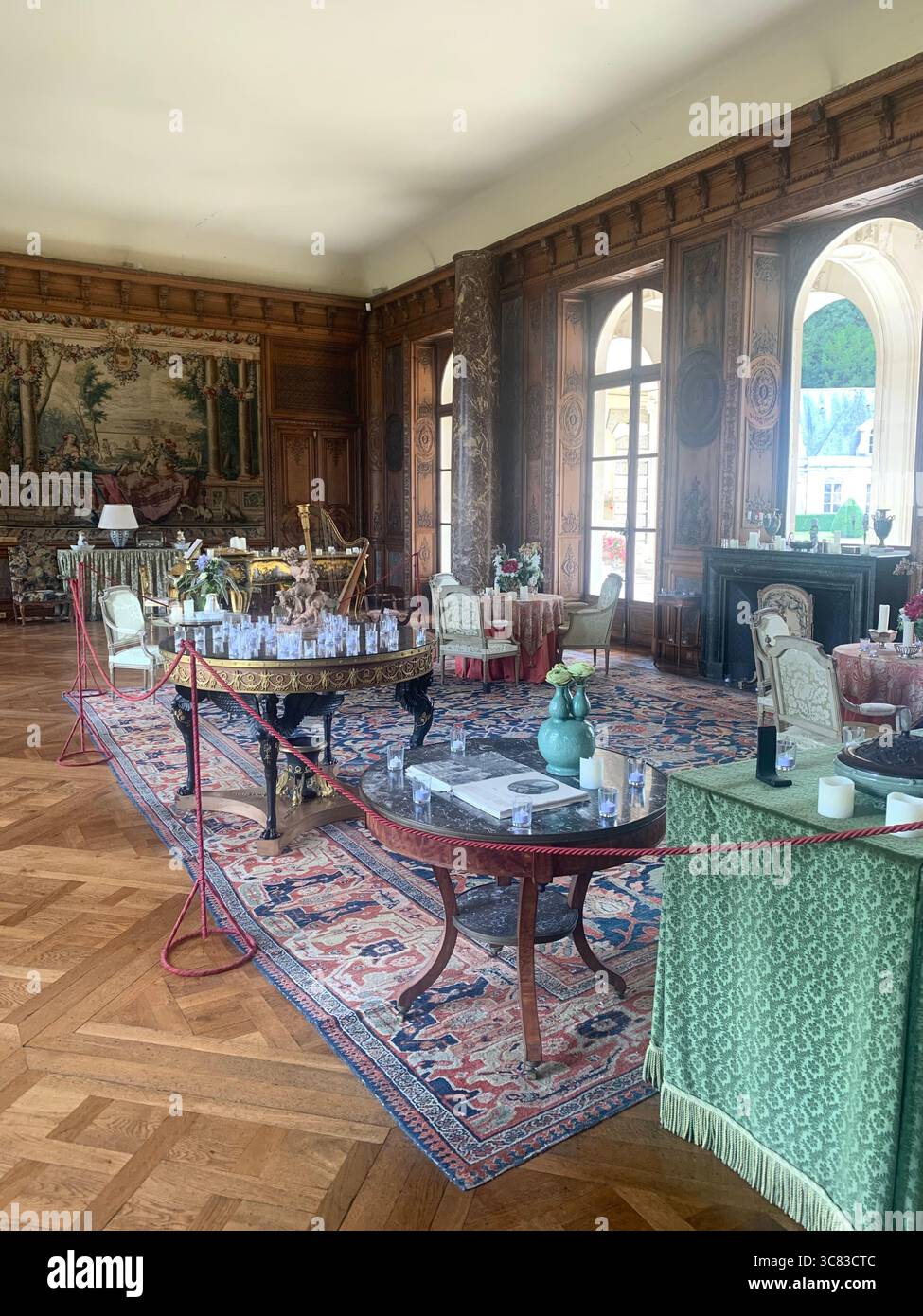 Chateau Bizi France French monument historic place gardens museum old ancient fountain water lake piano harp playing play people performance - Smartphone Captured Stock Image