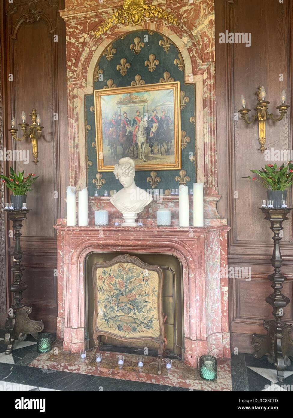 Chateau Bizi France French monument historic place gardens museum old ancient fountain water lake piano harp playing play people performance - Smartphone Captured Stock Image