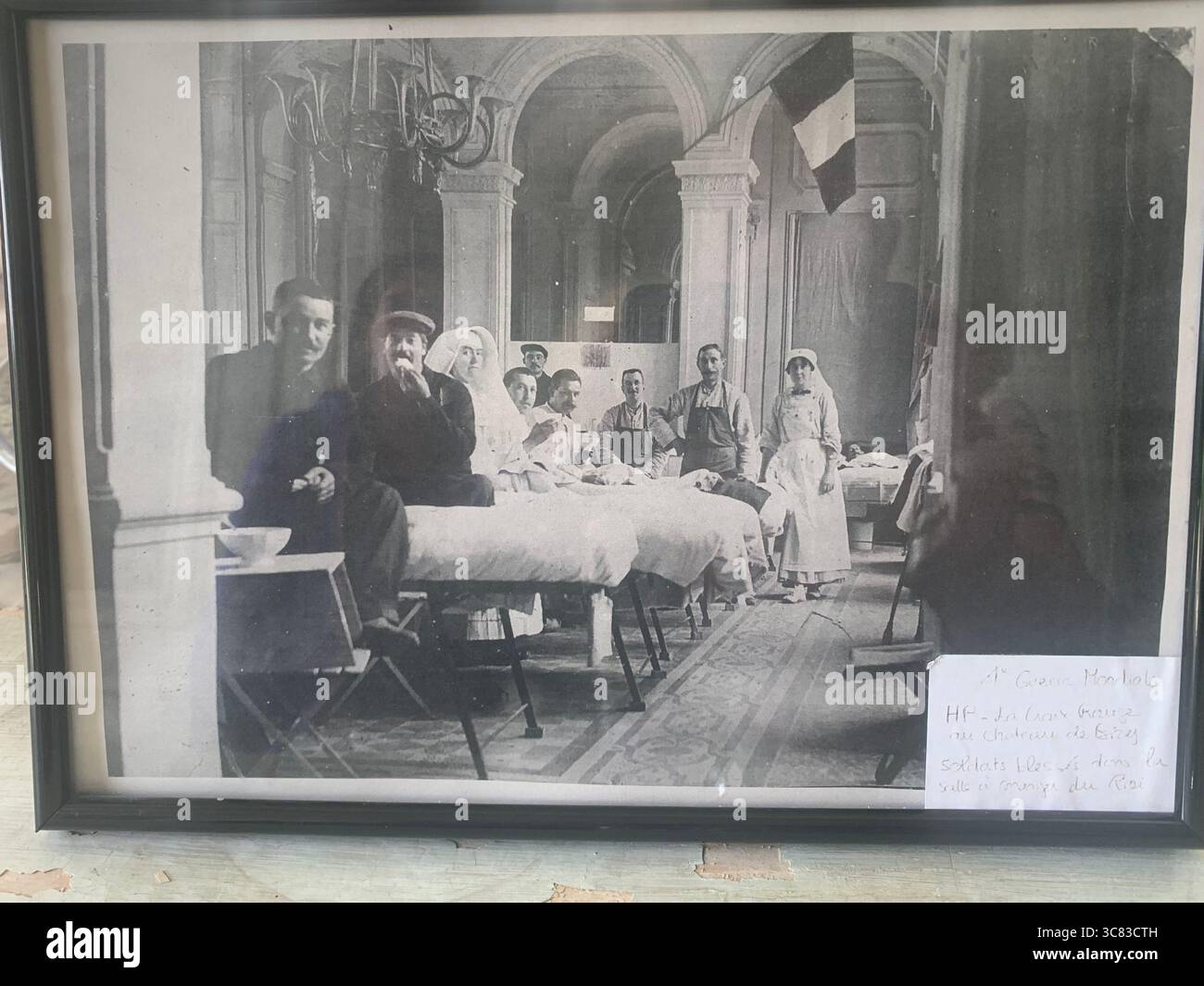 Chateau Bizi France French monument historic place gardens museum old ancient fountain water lake piano harp playing play people performance war time - Smartphone Captured Stock Image