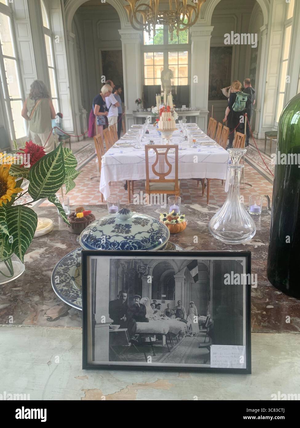 Chateau Bizi France French monument historic place gardens museum old ancient fountain water lake piano harp playing play people performance - Smartphone Captured Stock Image