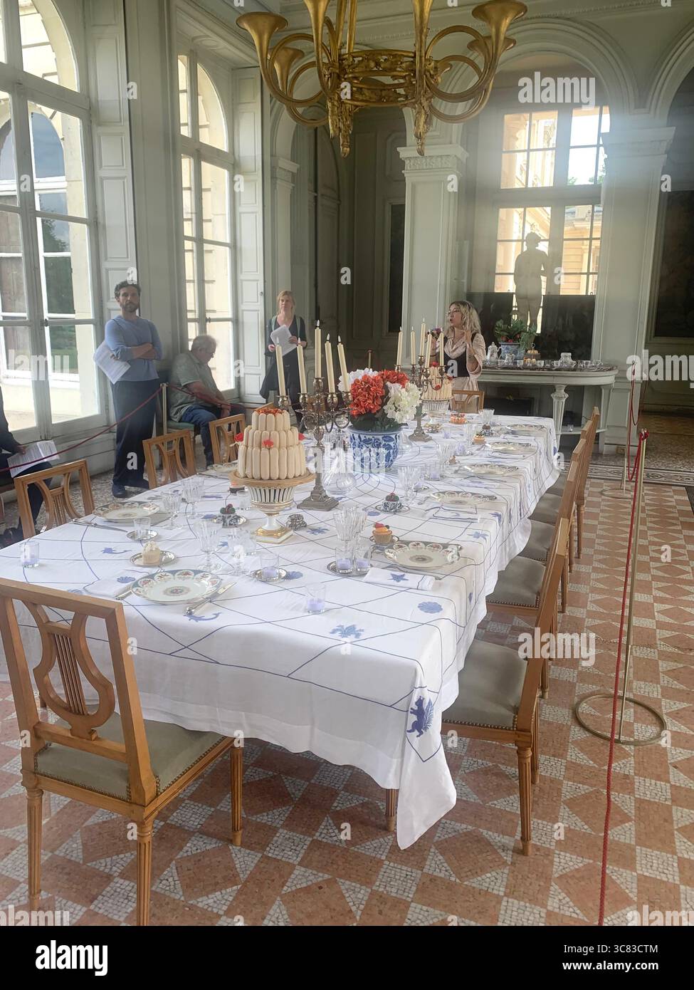 Chateau Bizi France French monument historic place gardens museum old ancient fountain water lake piano harp playing play people performance - Smartphone Captured Stock Image