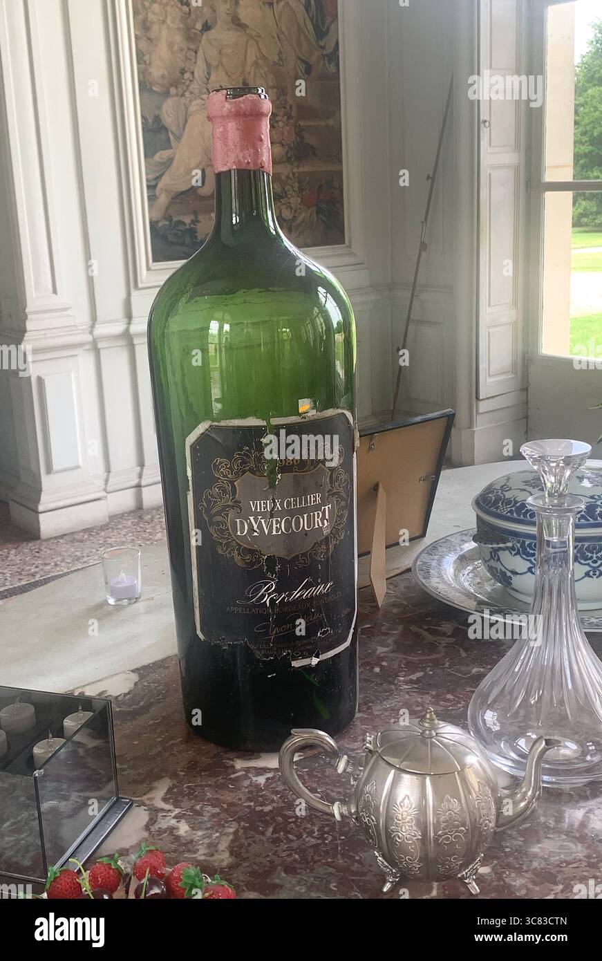 Chateau Bizi France French monument historic place gardens museum old ancient fountain water lake piano harp playing play people performance - Smartphone Captured Stock Image