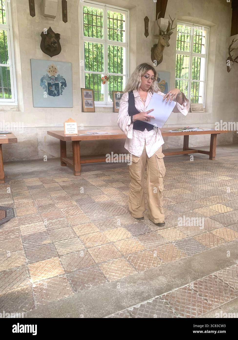 Chateau Bizi France French monument historic place gardens museum old ancient fountain water lake piano harp playing play people performance - Smartphone Captured Stock Image