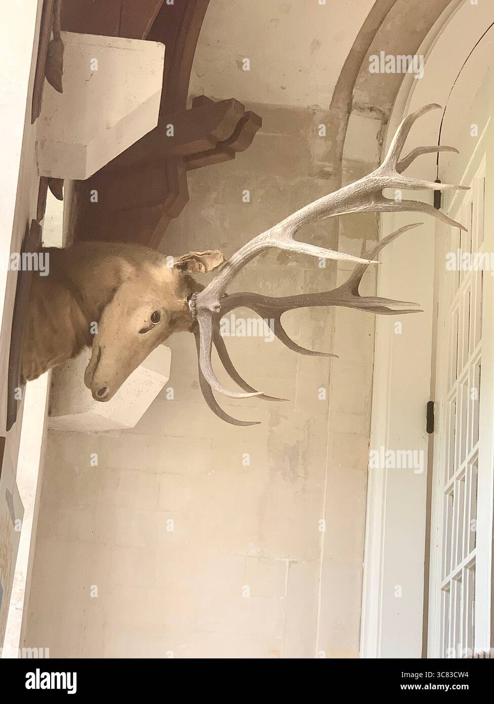 Chateau Bizi France French monument historic place gardens museum old ancient fountain water lake piano harp playing play people performance stag deer - Smartphone Captured Stock Image