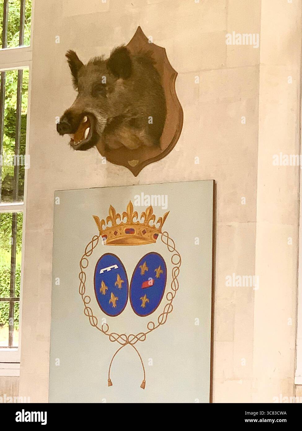 Chateau Bizi France French monument historic place gardens museum old ancient fountain water lake piano harp playing play people performance boar - Smartphone Captured Stock Image