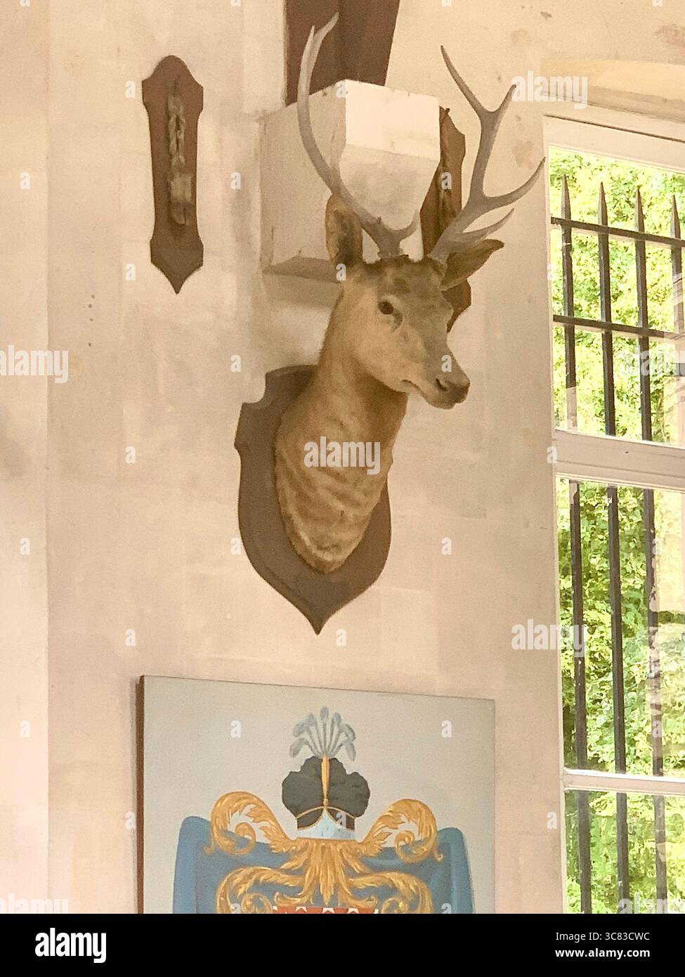 Chateau Bizi France French monument historic place gardens museum old ancient fountain water lake piano harp playing play people performance deer - Smartphone Captured Stock Image