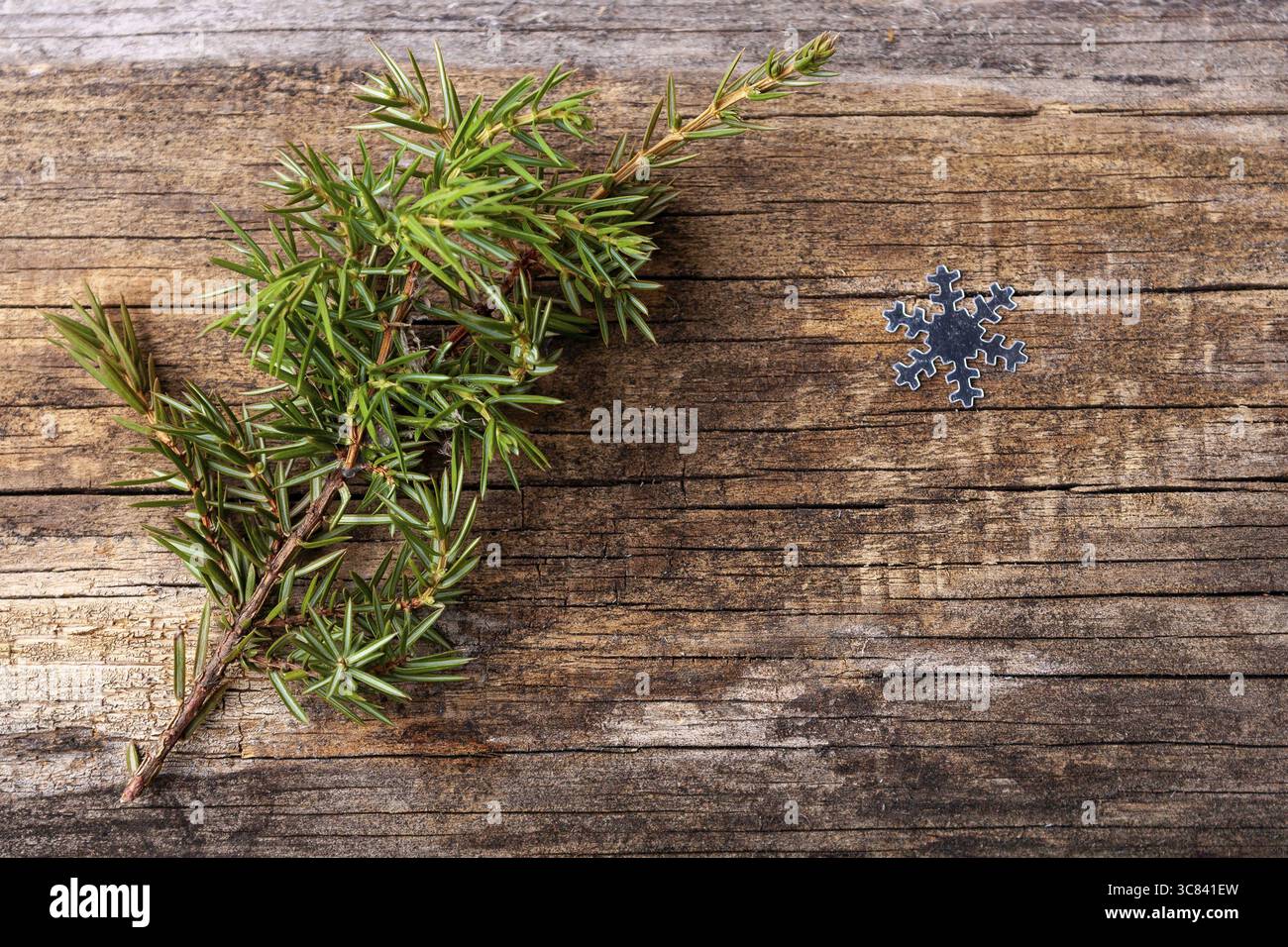 Fir branch on wooden background Stock Photo