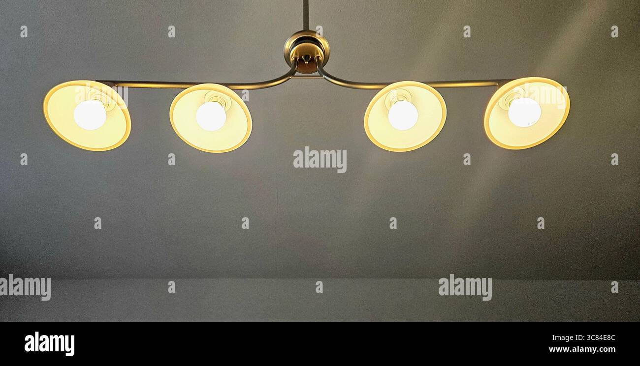 Picture of Minimalist Ceiling Light Fixture - Etsy