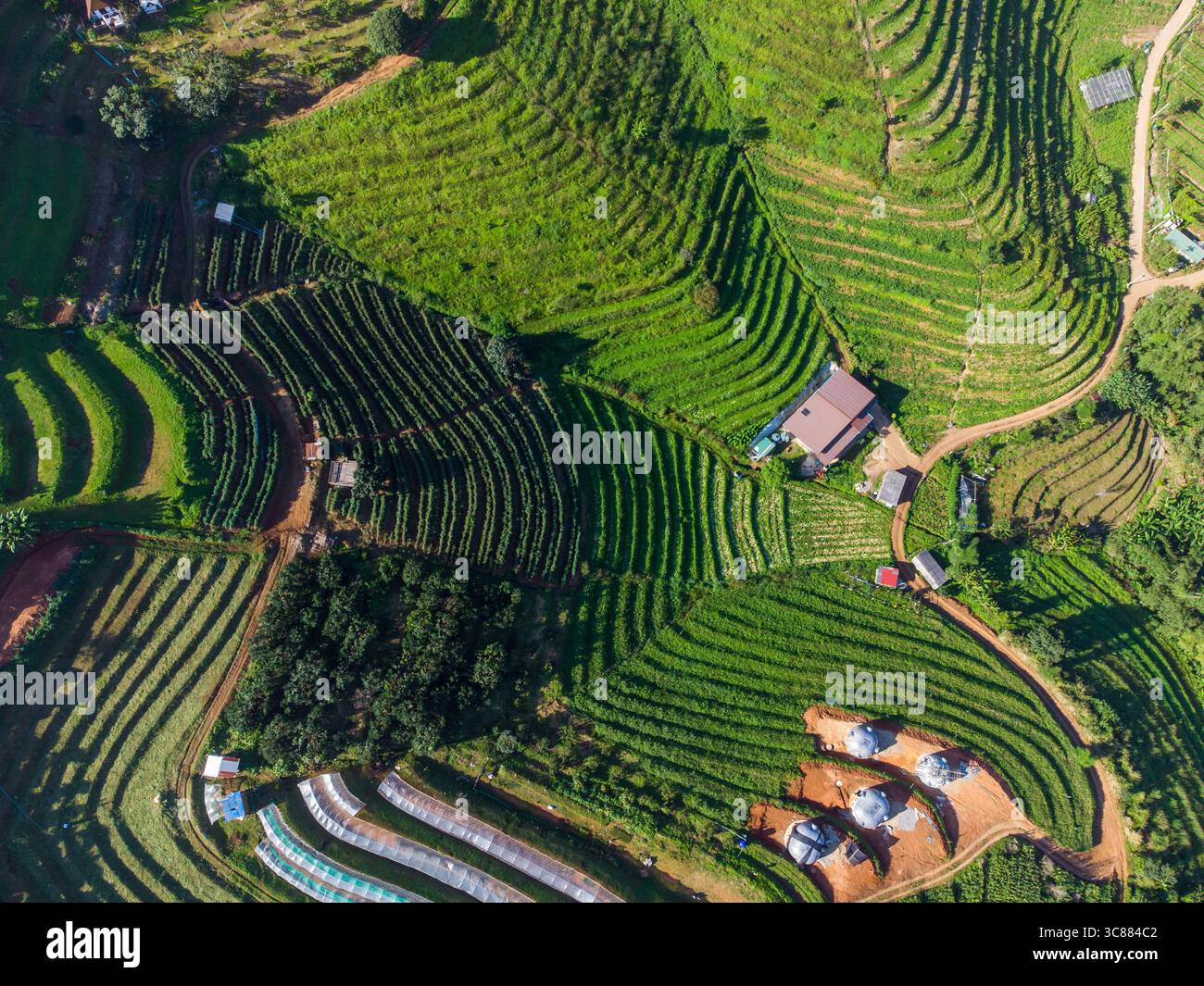 Rice terrace road hi-res stock photography and images - Alamy