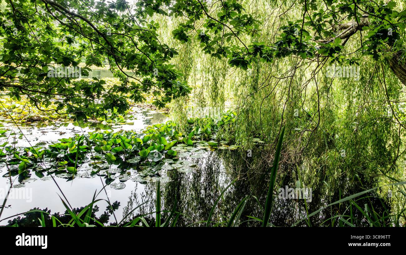 Discover the Best Place for a Picnic Near You